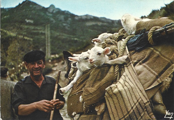 1970 Transhumance en Aragón 1