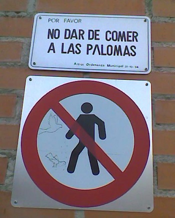 Cartel no dar de comer a las palomas