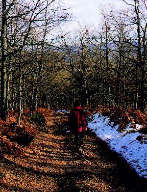 paseando por el Moncayo