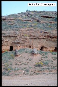 Cuevas en Nombrevilla