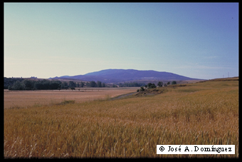 Valle del río Huerva (Ferreruela)