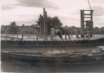 Puente de Novillas