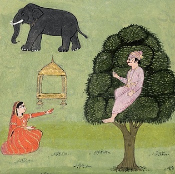 Elefante, rey y cortesana. El placer de las mujeres.