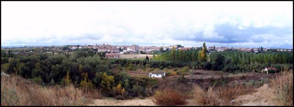 Panorámica de Sariñena