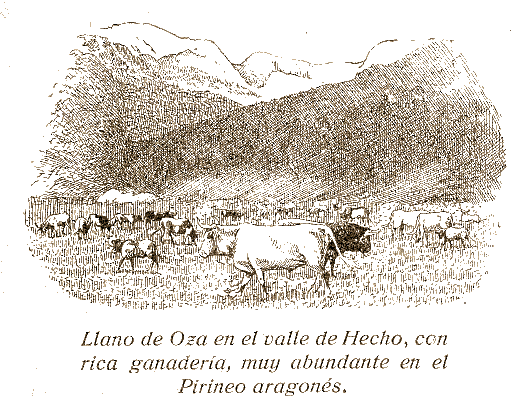 Llanos de Oza con ganaderia