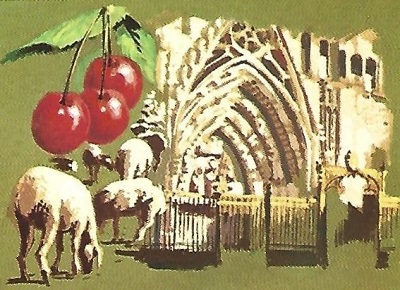 Huesca Catedral agricultura ganadería. Alto Aragón