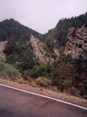 Porroneo la Tejera en Cañada de Benatanduz