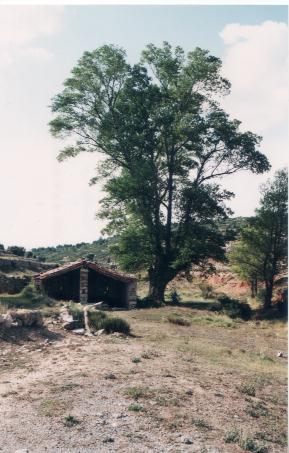 Pozo la Muela localidad de San Agustín 5