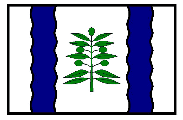 Bandera municipal de Cinco Olivas